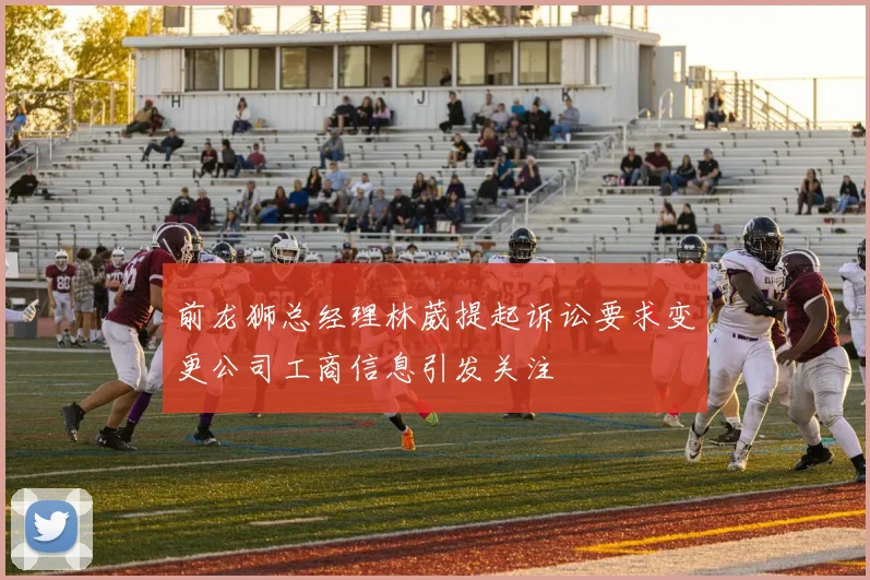 前龙狮总经理林葳提起诉讼要求变更公司工商信息引发关注