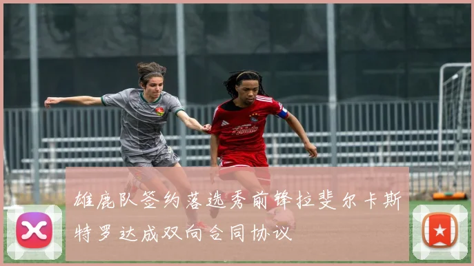 雄鹿队签约落选秀前锋拉斐尔卡斯特罗达成双向合同协议